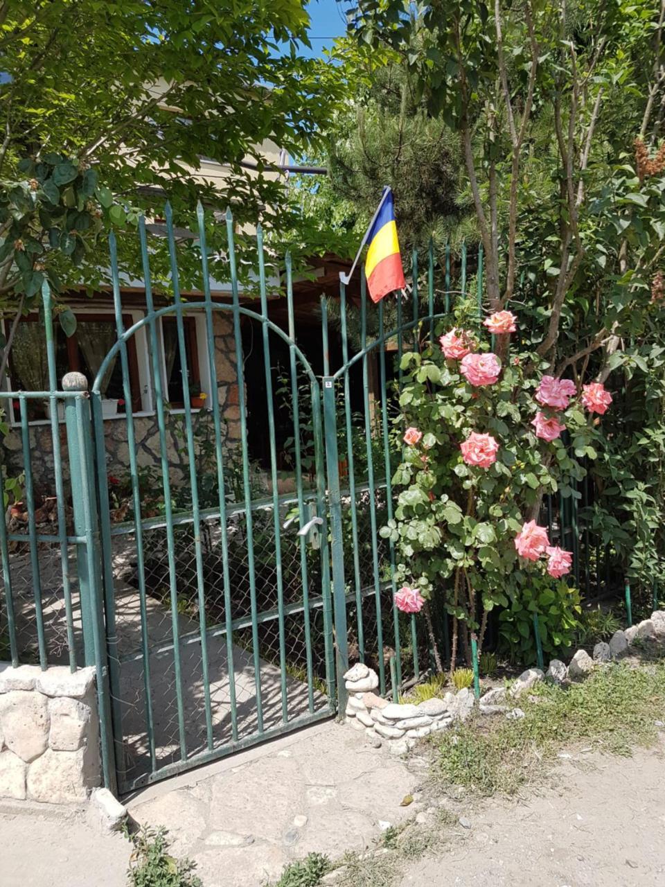 Casa Nikita Otel Vama Veche Dış mekan fotoğraf