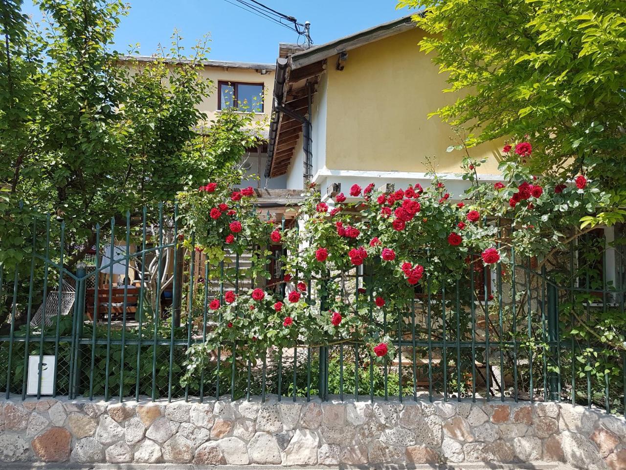 Casa Nikita Otel Vama Veche Dış mekan fotoğraf